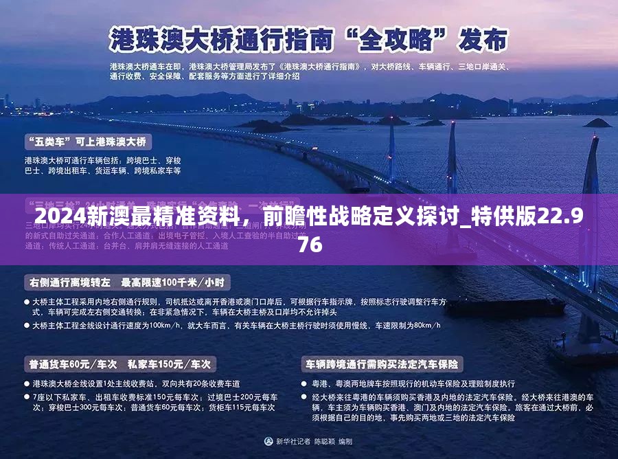 澳门王中王资料大全正版162期，全面释义、定量解答解释落实